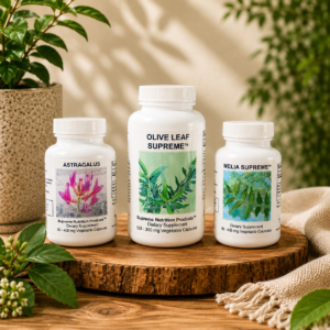 SIBO 1 (Bundle)